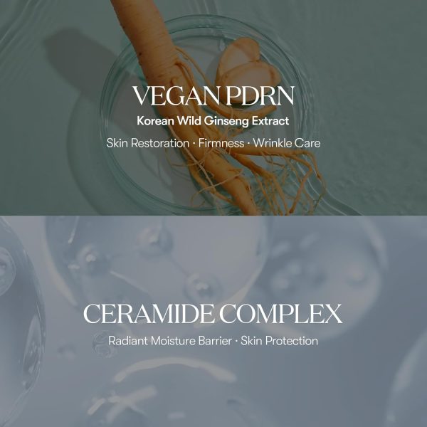 آمپول اسپری درخشان کننده پی دی آر ان وی تی کازمتیکس - تصویر 5