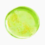 سرم آزلائیک اسید 10 کوجیک و درخت چای پوریتو - تصویر 5