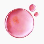 سرم رتینال نیاسینامید 10 و TXA 6 پوریتو - تصویر 6